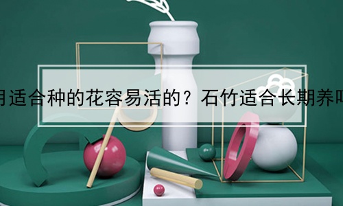 石竹