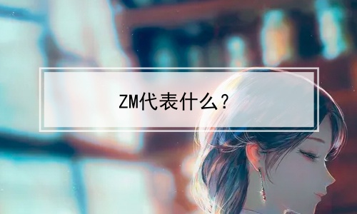 ZM代表什么？