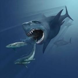 噬人鲨属