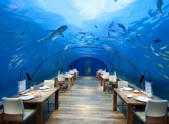 马尔代夫的海底餐厅