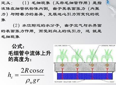 毛细管作用