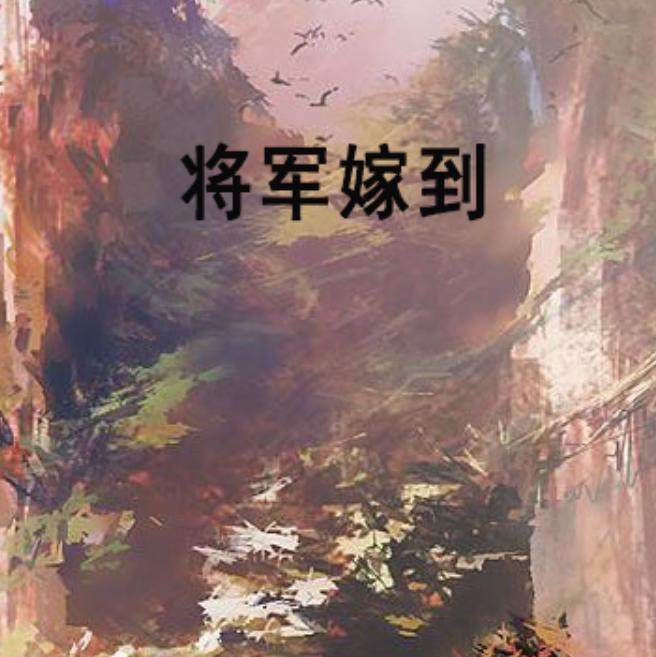 将军嫁到