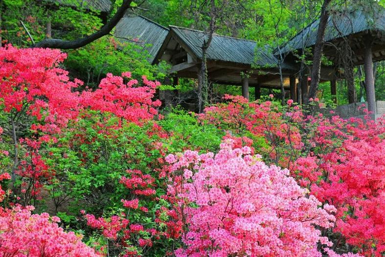 九仙山风景名胜区