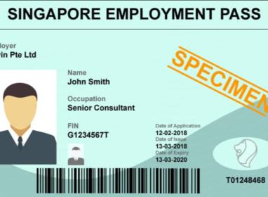 新加坡工作準證
