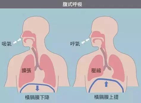 肺通气量