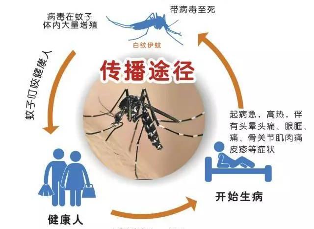 2020年登革熱疫情