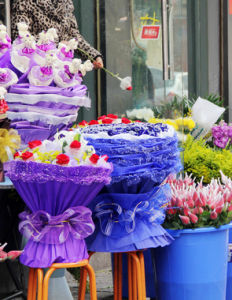 西安朱雀花卉市场