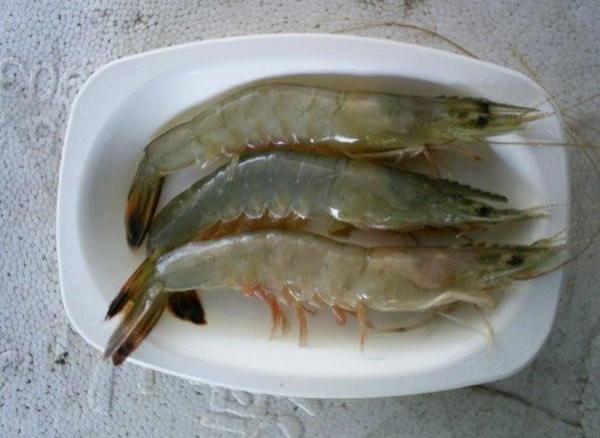 中國對蝦
