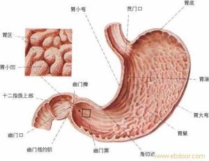 胃腸道功能紊亂