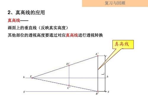 真高线