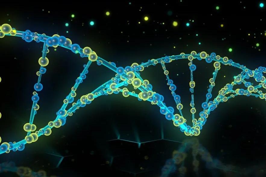 第二代DNA測序技術