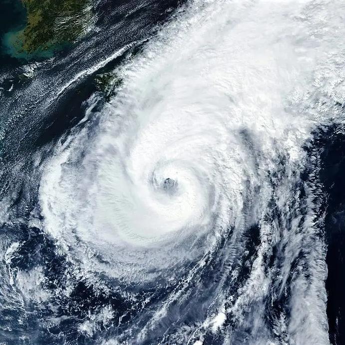 台風燦鴻