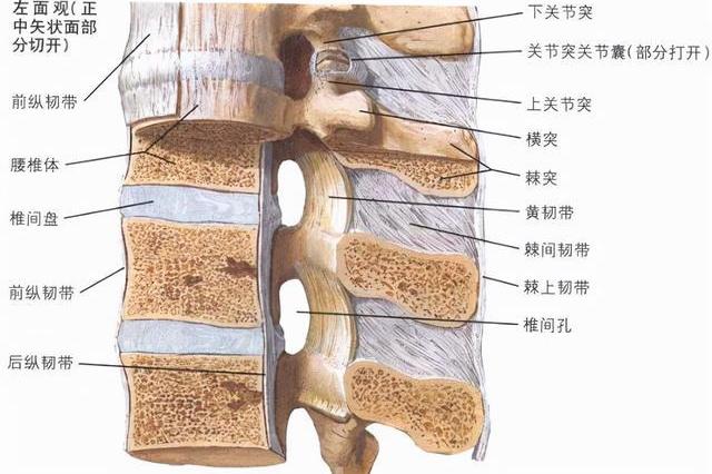 腰椎退行性病变