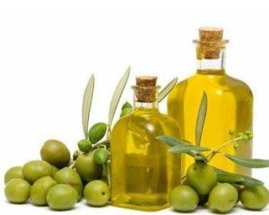 特級初榨橄榄油
