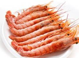 阿根廷紅蝦