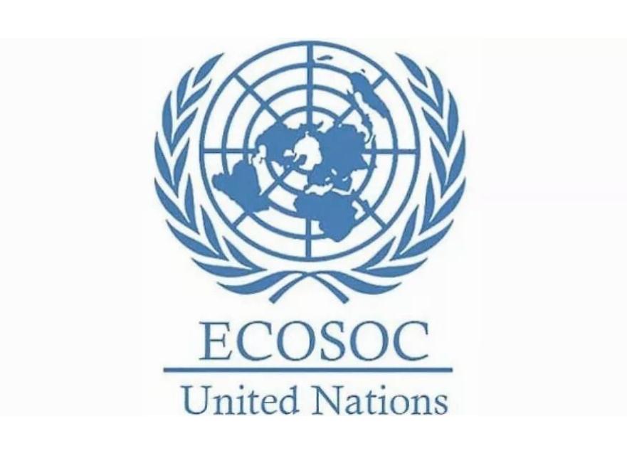 联合国经济及社会理事会