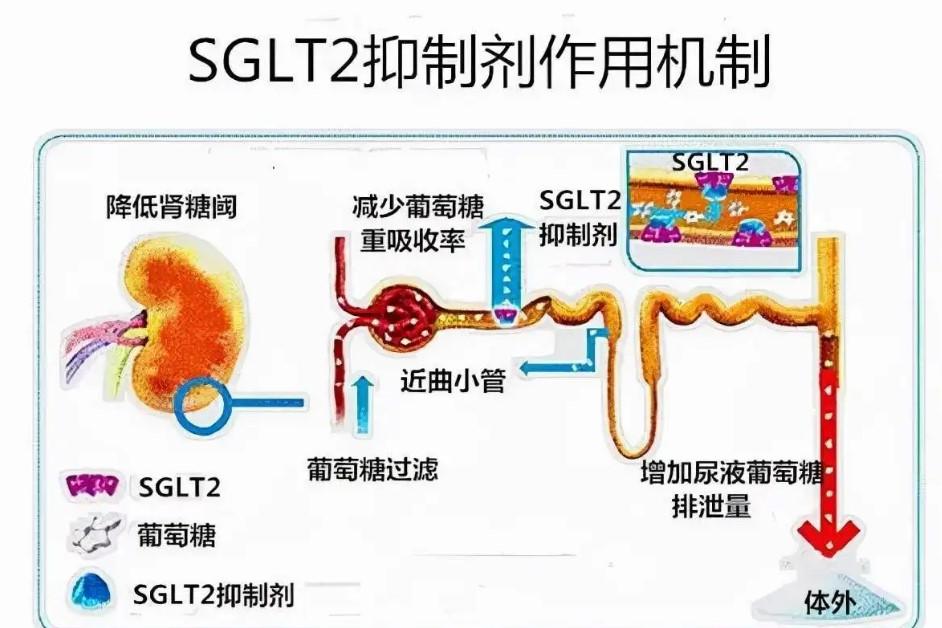 抑制劑