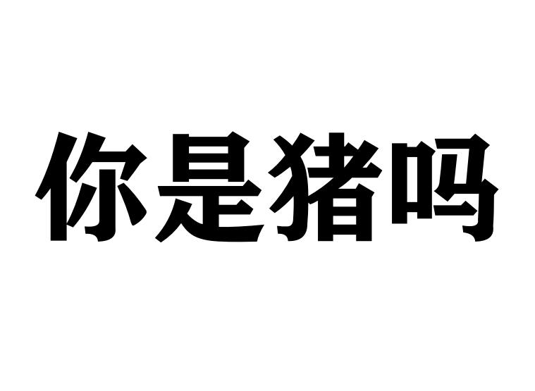 你是豬嗎