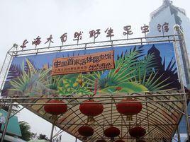 上海大自然野生昆蟲館