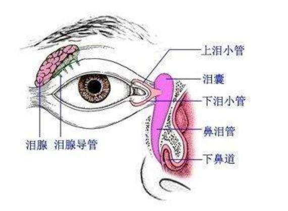 急性淚腺炎