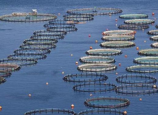 水産養殖