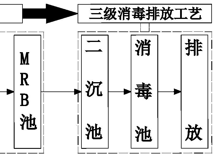 三级处理