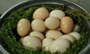 荠菜花煮鸡蛋