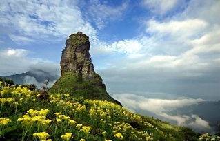 贵州梵净山