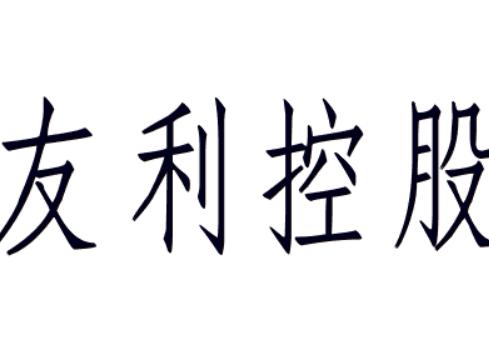 四川友利投資控股股份有限公司