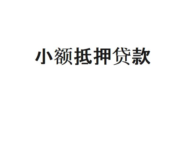 小额抵押贷款