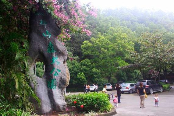 闆樟山森林公園