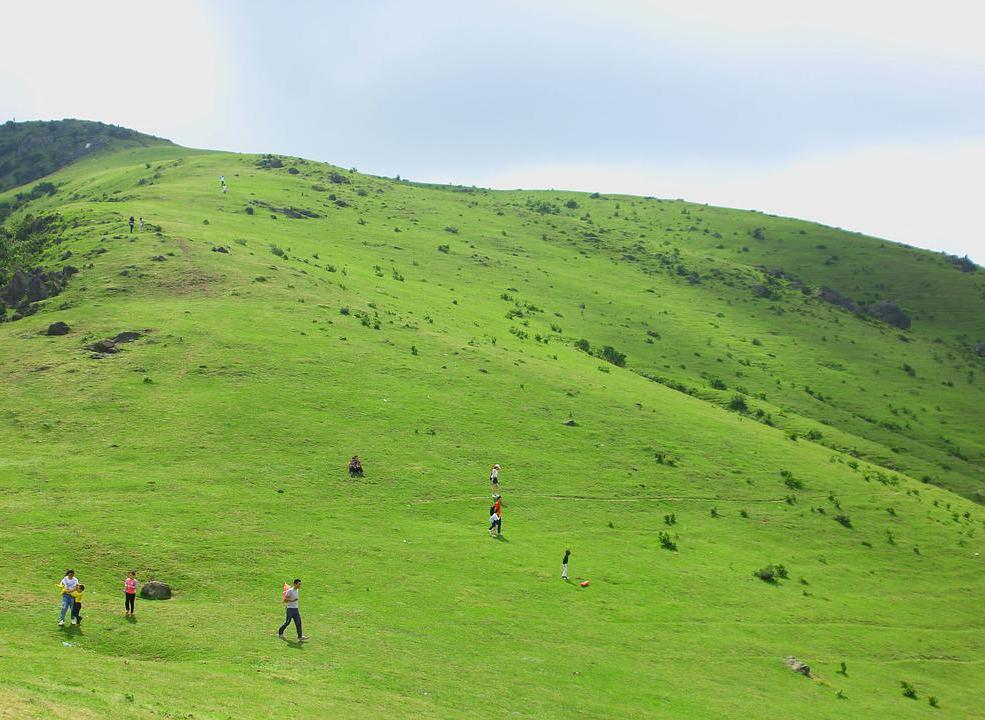 大姆山草场