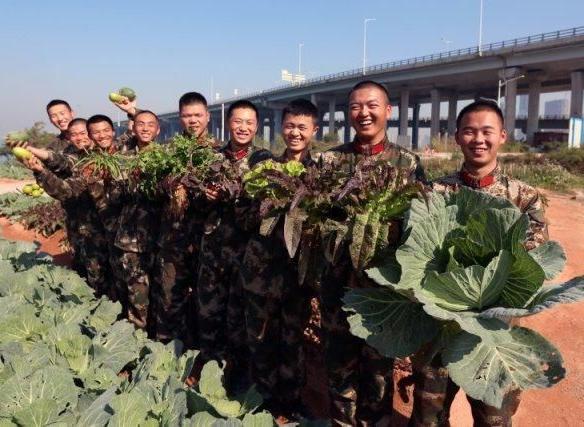 軍隊農副業生産