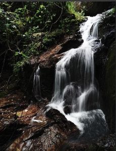 羊台山