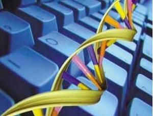 DNA计算机