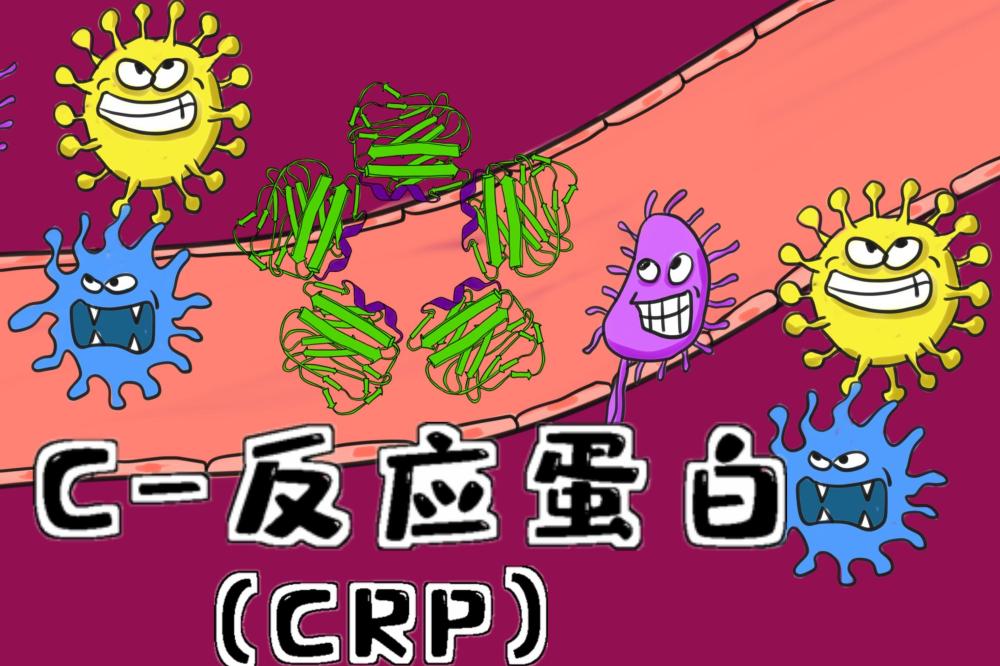 C-反应蛋白