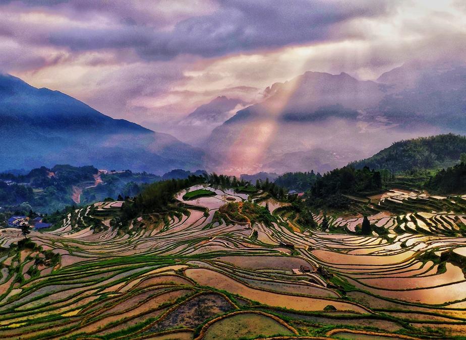 雲和梯田