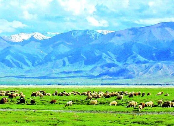 新疆中國旅行社
