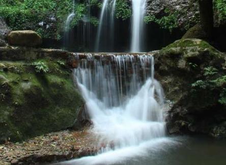 大桂山國家森林公園