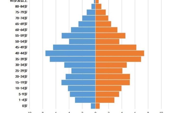 人口年龄结构