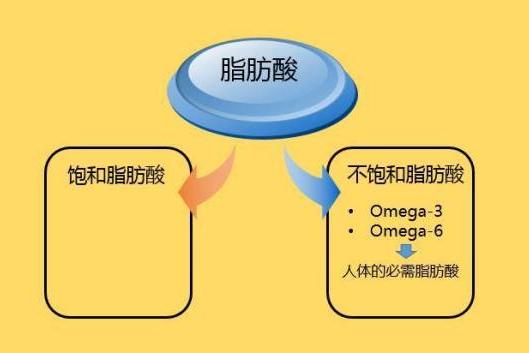 飽和脂肪酸