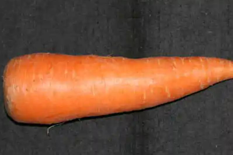 黃蘿蔔