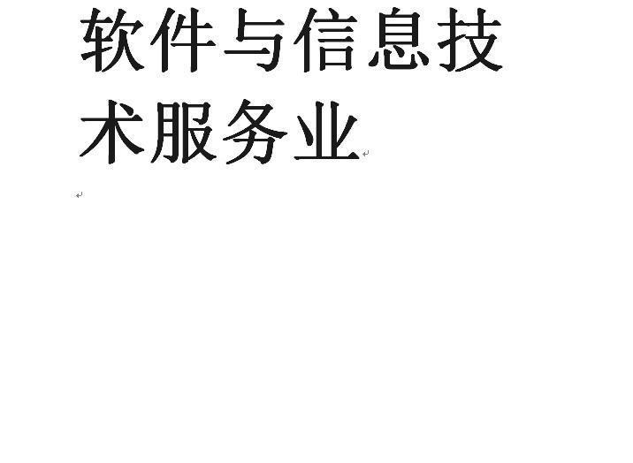 软件与信息技术服务业