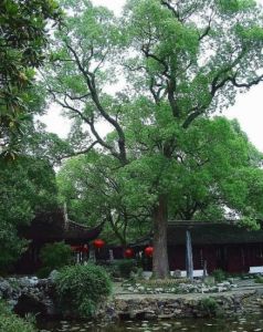 天马山景区