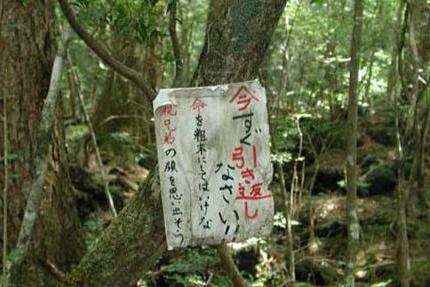 青木原树海