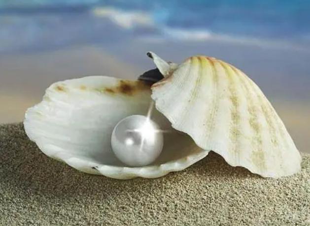 北海珍珠