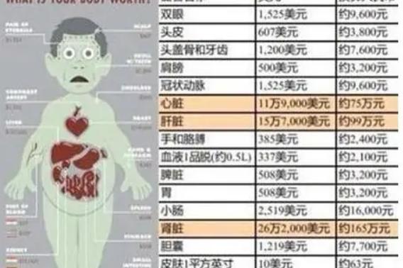 人体器官价位表