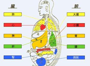 髒腑功能失調